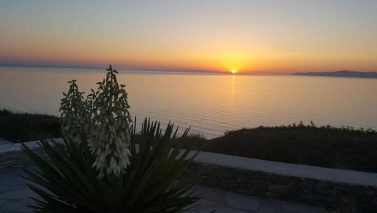 Syros Apartments Suites Chryssonisos Kini Bagian luar foto